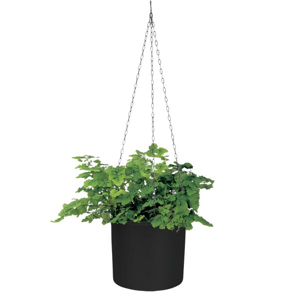 Corona Ampel Kunststoff Pflanztopf glänzend rund Pflanztopf für Indoor