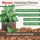 Blusana Pflanzton 10 Liter Blähton grobe Körnung 8-16mm | Hydrokultur Drainage Substrat | Erdbeimischung Pflanzgranulat