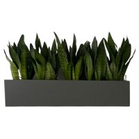 ELEGANCE muro 80x22/22H Pflanzgefäß rechteckig...