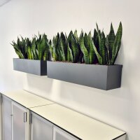 Elegance Muro W80x22/22H Pflanzgefäß...