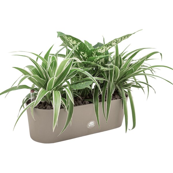 Flori JA50 Jardiniere JA50 Pflanzgefäß oval konisch | Struktur seidenmatt Weißaluminium (RAL 9006) | Bodengefäß