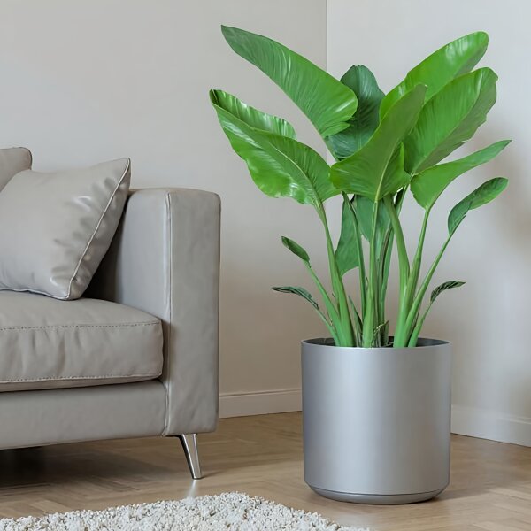 LENI BAVARIA rondo RD36 Pflanzgefäß rund Ø 36 cm groß Silber-Grau | Pflanztopf für Hydrokultur Erde Indoor Outdoor geeignet
