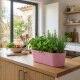 Leni Flori Jardiniere JA 36 Pastellrosa Pflanzkasten oval wasserdicht Übertopf Kunststoff matt Hydrokultur Sideboard