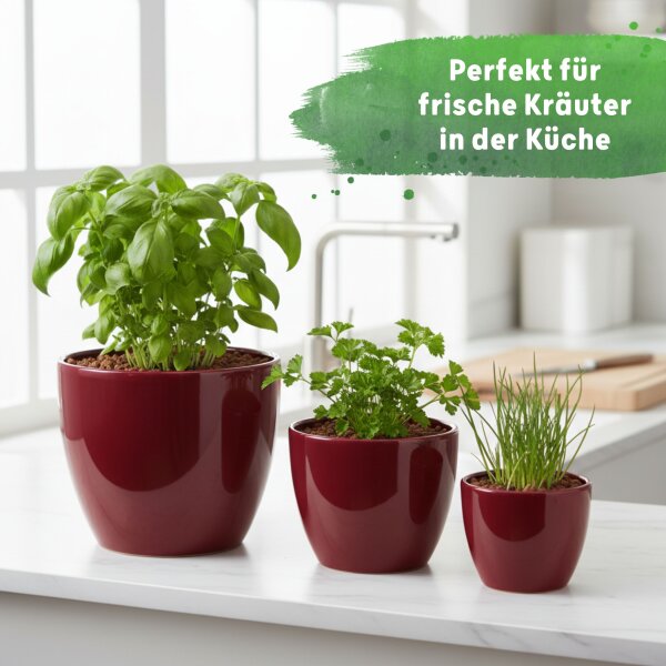 Sylt Blumentopf Keramik glänzend Weinrot 3 Größen (Ø 8cm + 11cm + 17cm) im Set
