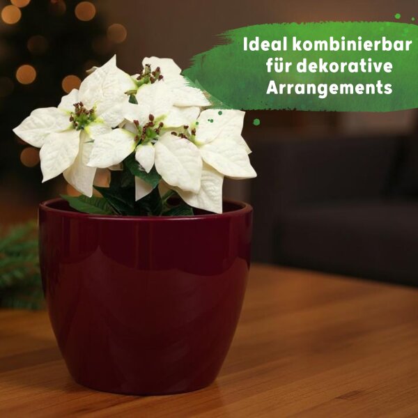 Sylt Blumentopf Keramik glänzend Weinrot 3 Größen (Ø 8cm + 11cm + 17cm) im Set
