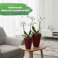 Quarta Blumentopf Keramik glänzend Weinrot...