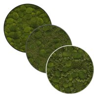 KREATIV Moosbild rondo 40 Wandbild rund | verschiedene...