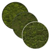 KREATIV Moosbild rondo 50 Wandbild rund | verschiedene...