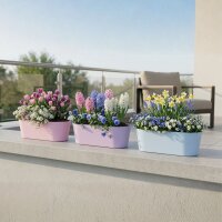 Leni Flori Jardiniere 3er Set Pflanzkasten oval...