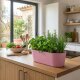 Leni Flori Jardiniere Pastellrosa 3er Pack Pflanzkasten oval wasserdicht Übertopf Kunststoff matt Hydrokultur Pflanztopf
