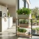 Leni Flori Jardiniere 3er Set drei Größen Pflanzkasten oval wasserdicht Naturtöne Übertopf Kunststoff Hydrokultur Balkon