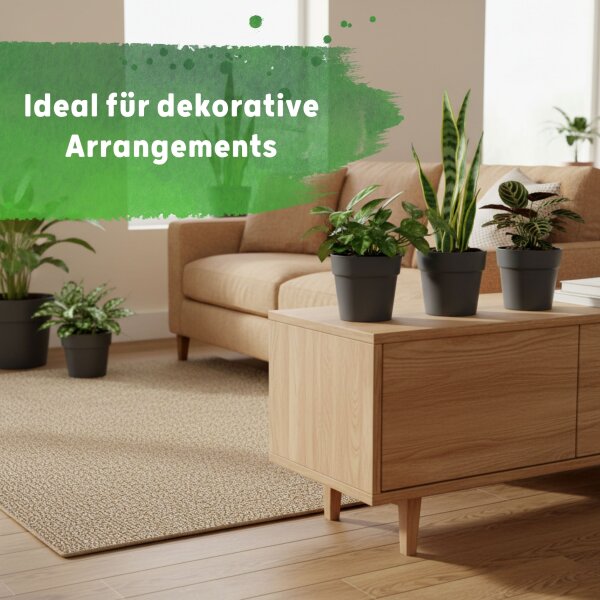 LENI CLASSIC Hydrokultur-Topf-Set mit 3 x Pflanztopf ca. Ø 16 cm und Kulturtopf | matt glatt wasserdicht mit Dünger