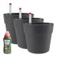 LENI CLASSIC Hydrokultur-Topf-Set mit 3 x Pflanztopf ca. Ø 16 cm und Kulturtopf | matt glatt wasserdicht mit Dünger