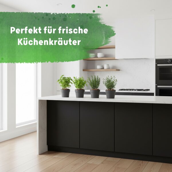LENI CLASSIC Hydrokultur-Topf-Set mit 4 x Pflanztopf ca. Ø 14 cm und Kulturtopf | matt glatt wasserdicht mit Dünger