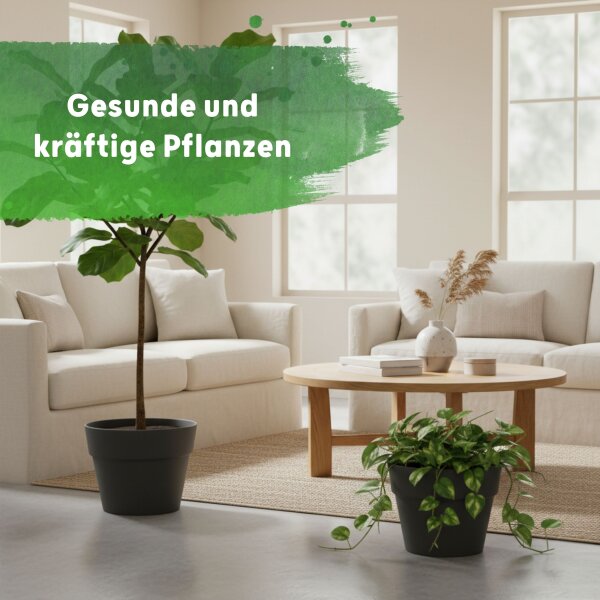 LENI CLASSIC Hydrokultur-Topf-Set mit 2 x Pflanztopf ca. Ø 26 cm und Kulturtopf | matt glatt wasserdicht mit Dünger