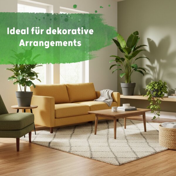 LENI CLASSIC Hydrokultur-Topf-Set mit 2 x Pflanztopf ca. Ø 26 cm und Kulturtopf | matt glatt wasserdicht mit Dünger