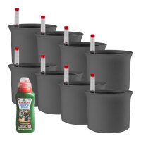 LENI ATLAS Hydrokultur-Topf-Set mit 8 x Pflanztopf ca....