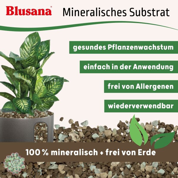 Blusana Mineralisches Pflanzsubstrat mittlere Körnung 4-8 mm | Hydrokultur Pflanzgranulat Bims Lava Zeolith ungedüngt
