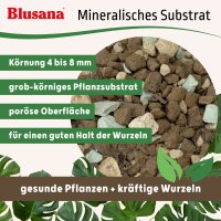 Blusana Mineralisches Pflanzsubstrat mittlere...