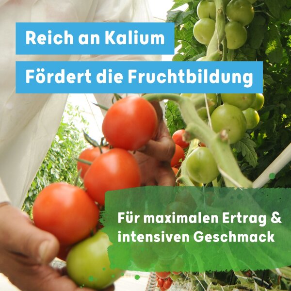 Blusana SOLTIVA hydro Nährsalz 800 ml Hydroponik-Dünger und Hydrokultur-Dünger | NPK 15-7-22 +Magnesium mit Eisen-Doppelchelat