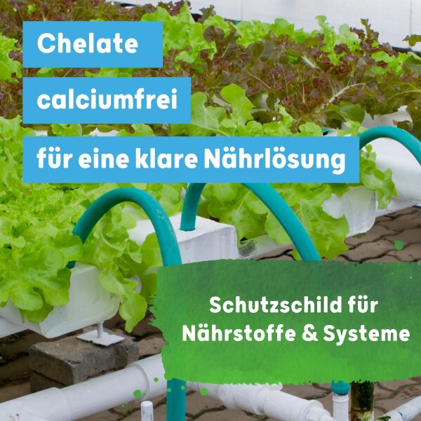 Blusana SOLTIVA hydro Nährsalz 800 ml Hydroponik-Dünger und Hydrokultur-Dünger | NPK 15-7-22 +Magnesium mit Eisen-Doppelchelat