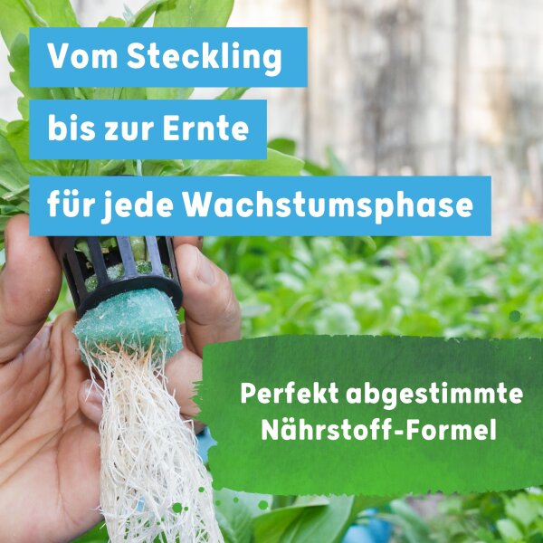 Blusana SOLTIVA hydro Nährsalz 800 ml Hydroponik-Dünger und Hydrokultur-Dünger | NPK 15-7-22 +Magnesium mit Eisen-Doppelchelat