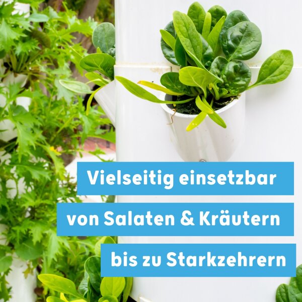 Blusana SOLTIVA hydro Nährsalz 800 ml Hydroponik-Dünger und Hydrokultur-Dünger | NPK 15-7-22 +Magnesium mit Eisen-Doppelchelat