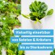 Blusana SOLTIVA hydro Nährsalz 800 ml Hydroponik-Dünger und Hydrokultur-Dünger | NPK 15-7-22 +Magnesium mit Eisen-Doppelchelat