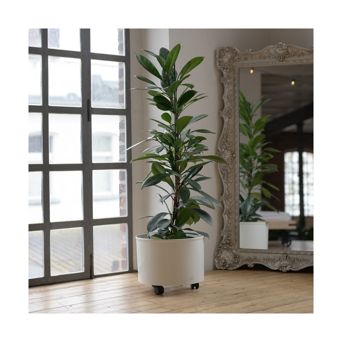 pflanztopf durchmesser 30 cm Pflanzkübel Outdoor 30cm online kaufen – Green Me Up main image 0