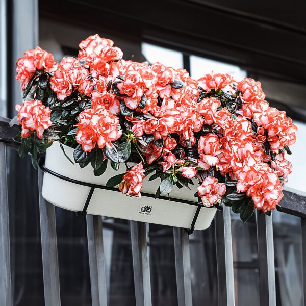 Balkonhalterung für Flori Jardiniere 36