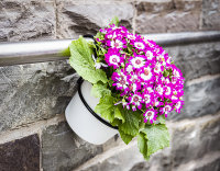 Balkonhalterung für Flori Blumentopf