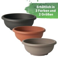 Olimpo Pflanzschale