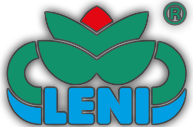 LENI Logo